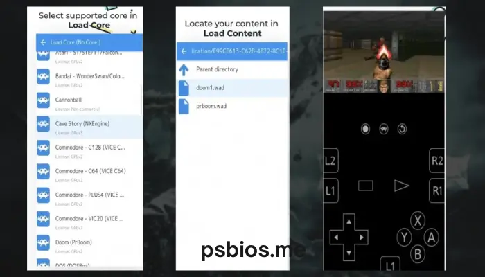 PS2-BIOS-to-RetroArch-